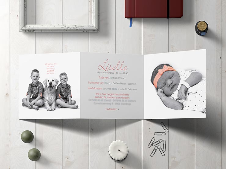 Lina Design Geboortekaartje Liselle